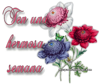 semanab.gif picture by Nina40-album