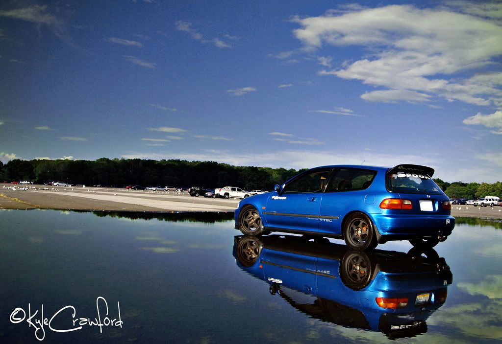 [Image: 2790156366_c14874ff2f_b-1.jpg]