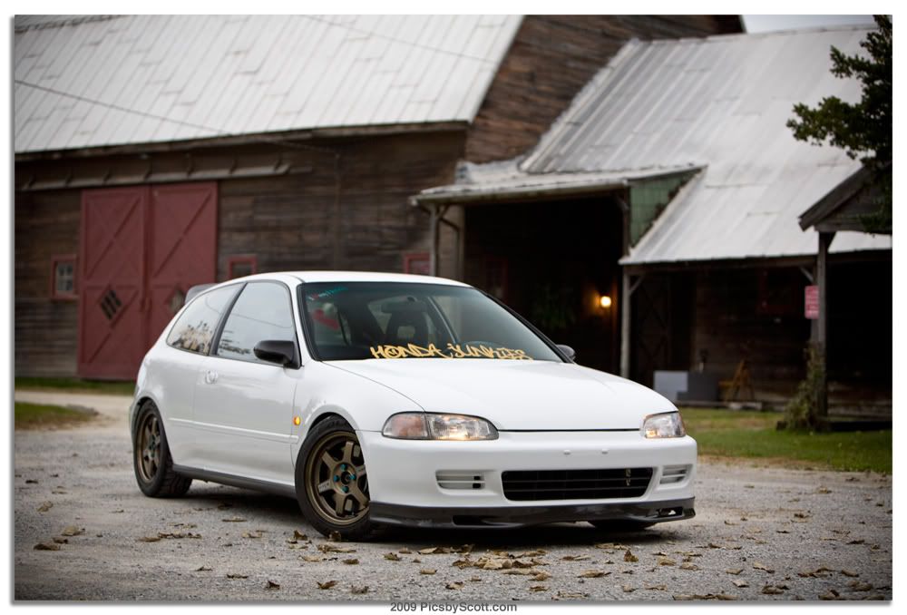 [Image: 4039999312_18844f79d5_o.jpg]