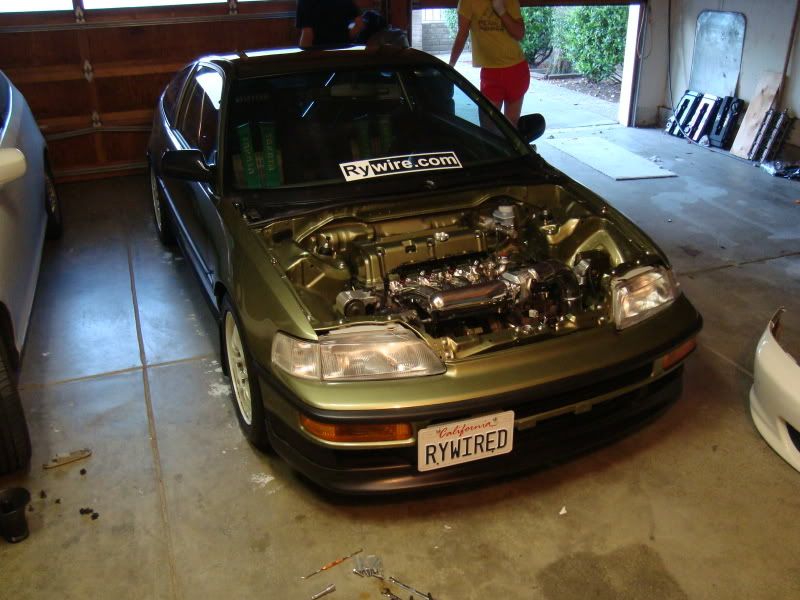 [Image: DSC01316.jpg]