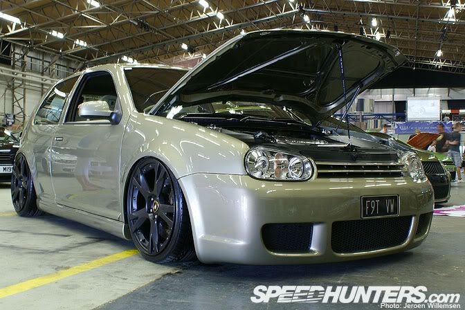 [Image: DSC0467320copy.jpg]