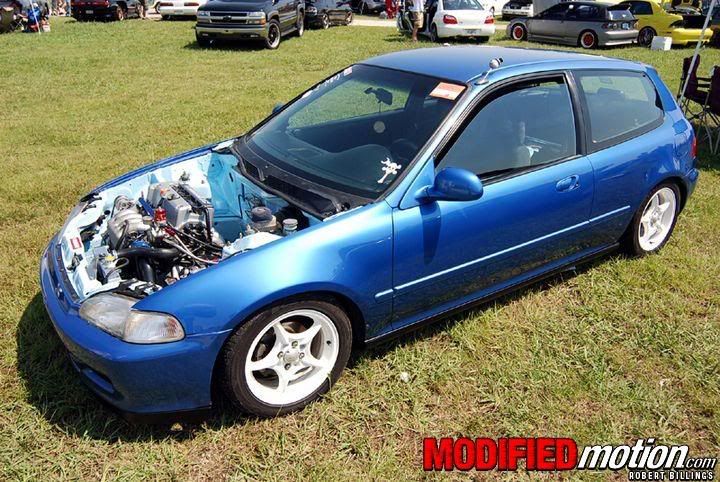 [Image: DSC_01831.jpg]