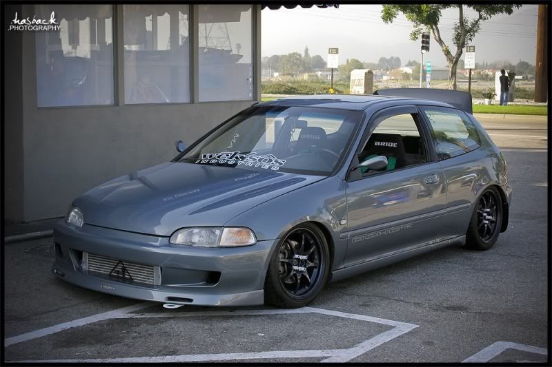 [Image: IMG_0012.jpg]