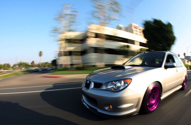 [Image: IMG_5186-1.jpg]