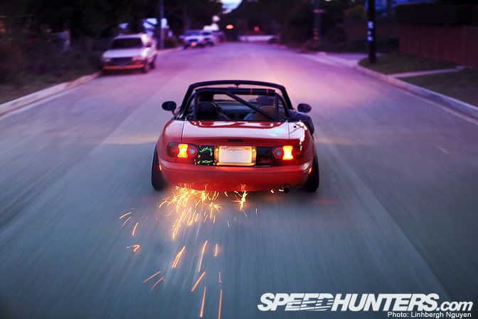 [Image: IMG_9975-2-1.jpg]