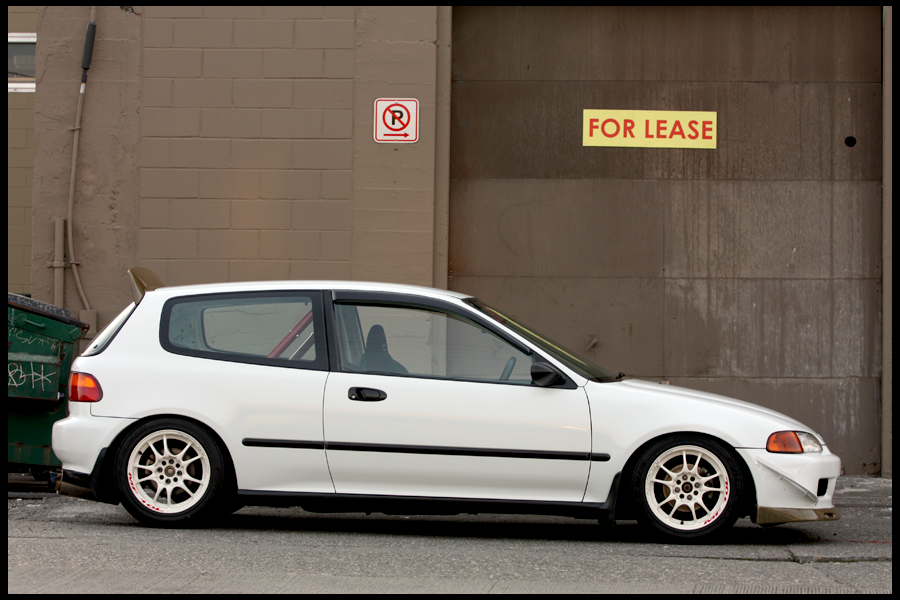 [Image: Picture174.png]