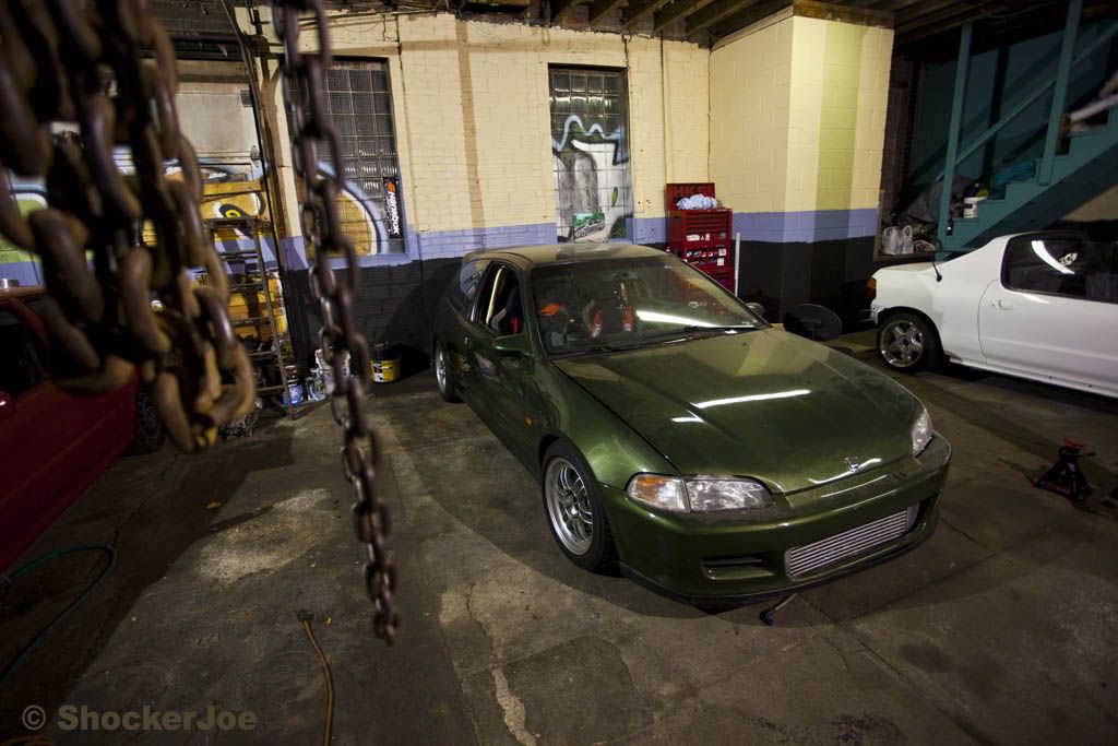 [Image: _MG_9053.jpg]