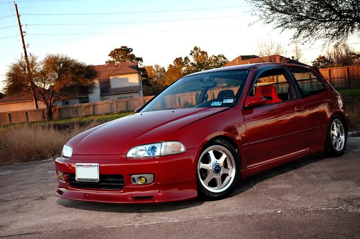 [Image: dDSC_5453.jpg]