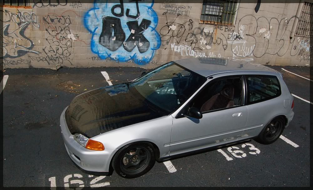 [Image: dsc0081copyrk8-1.jpg]