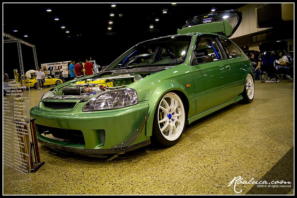 [Image: ekgreen.jpg]