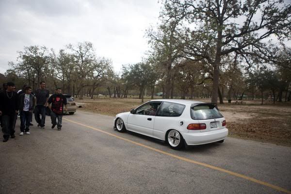 [Image: l_19ac40df0d984647891f1f115d1b6ebf.jpg]