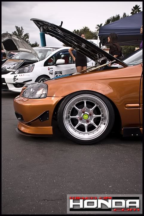 [Image: normreeves09059-1.jpg]