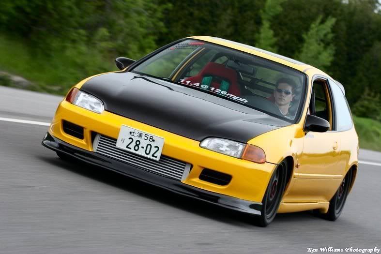 [Image: yelloweg-1.jpg]