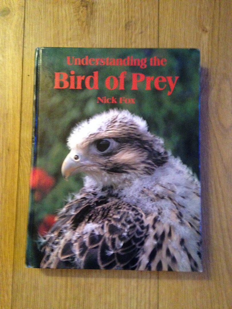 C21E48DD-B7BC-4033-AEF4-4E670B648E40_zps