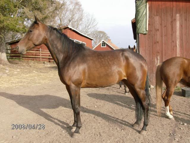 HPIM0197.jpg