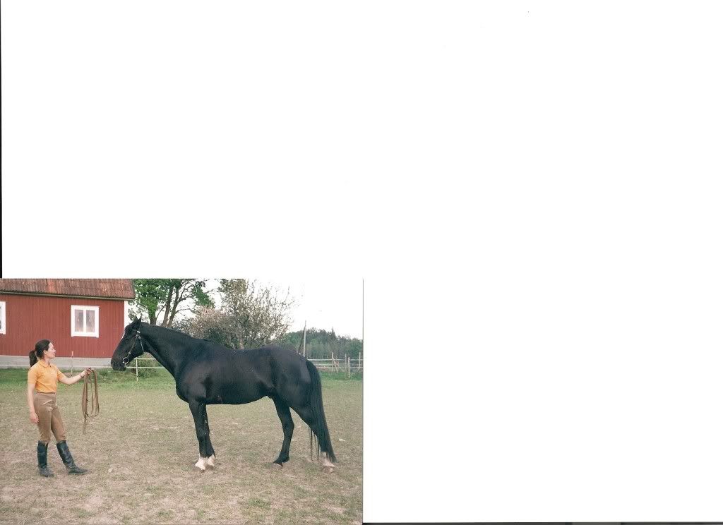 skanna0001.jpg