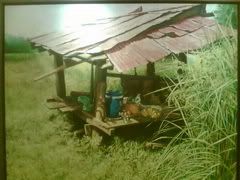รูปภาพ