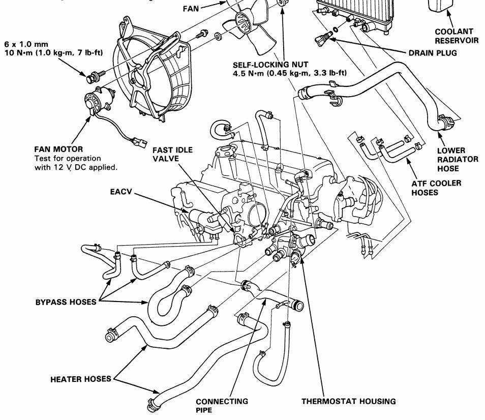 1993 Honda accord trunk leak #6