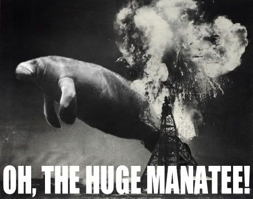 Huge Manatee