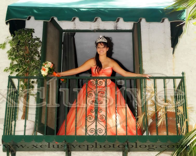 Wedding and Quinceanera Professional Photographer