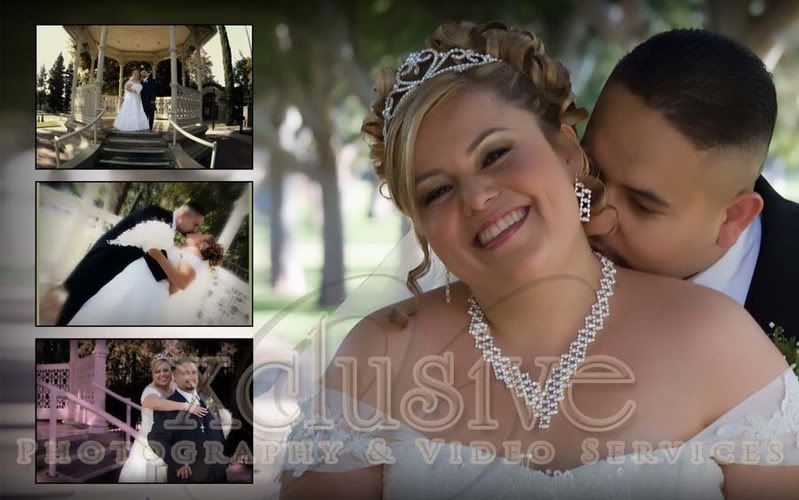 Flash Mount Wedding Albums