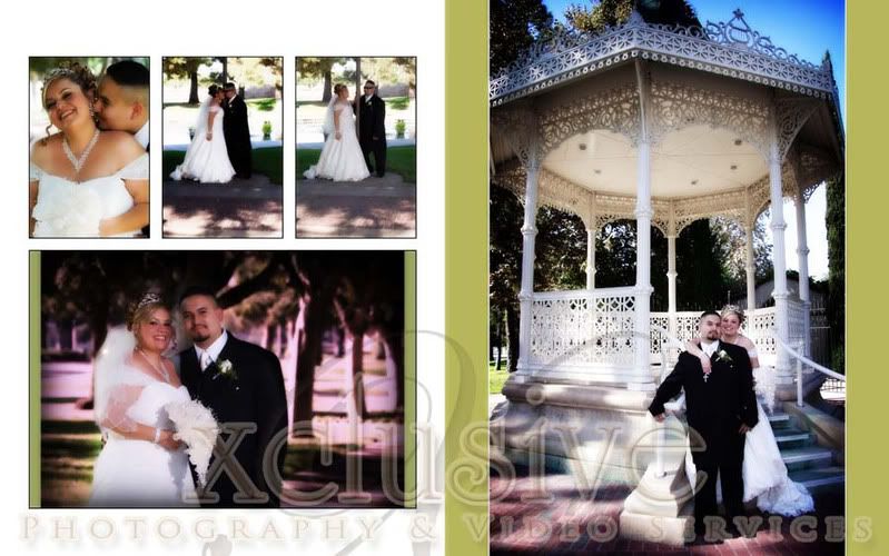 Flash Mount Wedding Albums