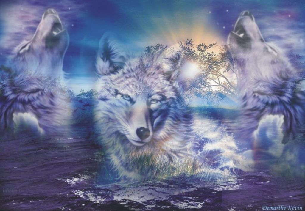 wolves photo: Wolves Wolves.jpg