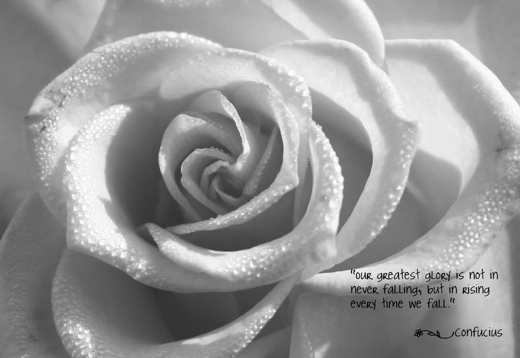 rose wallpaper images. black and white rose wallpaper