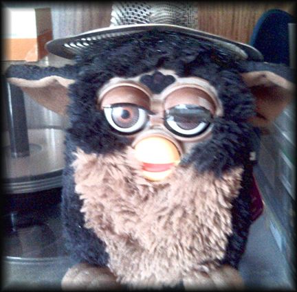 demented furby