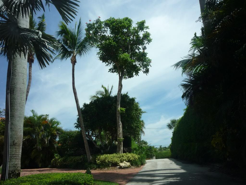 P1030053.jpg