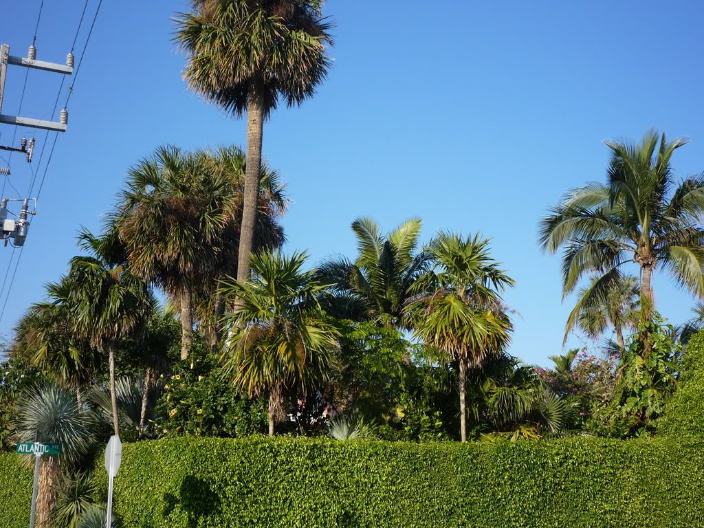 Picture425.jpg