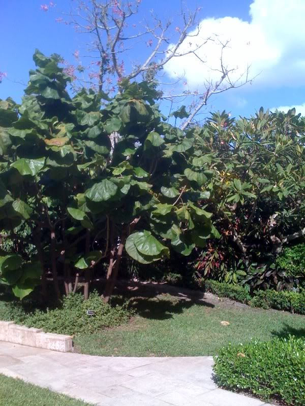 photo2.jpg