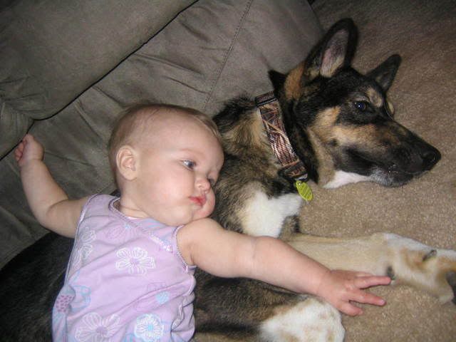Dog Has Sprained Paw