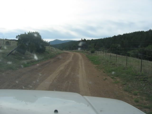 IMG_2132.jpg
