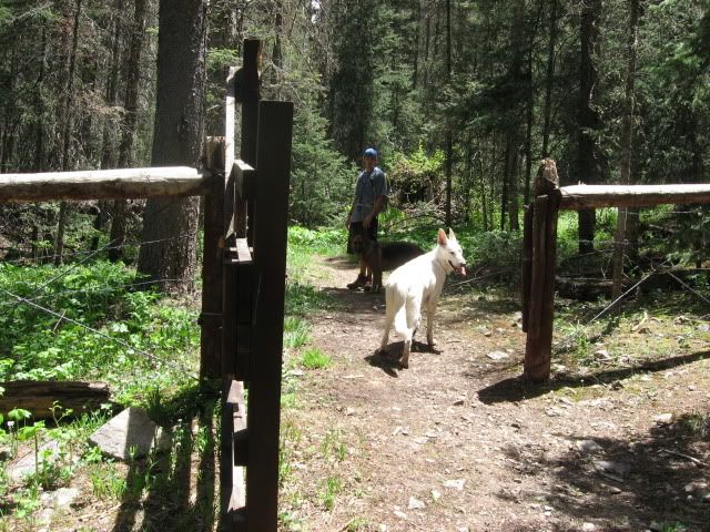 IMG_2136.jpg