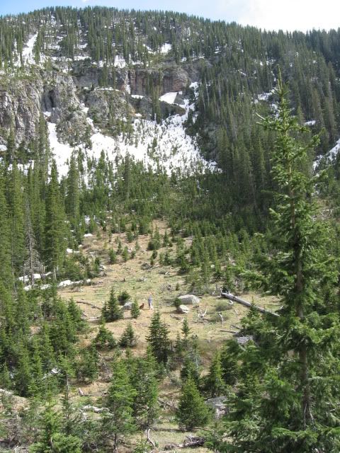 IMG_2262.jpg