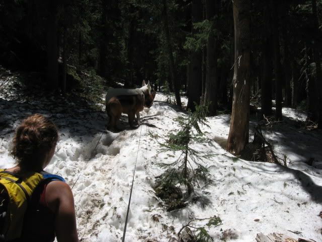 IMG_2305.jpg