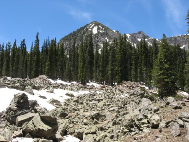 IMG_2309.jpg