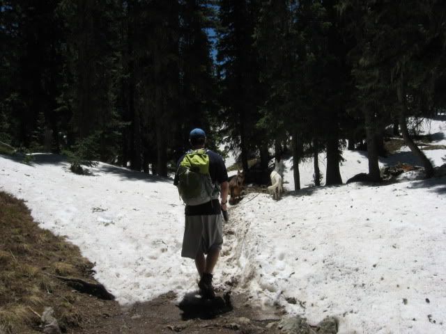 IMG_2312.jpg