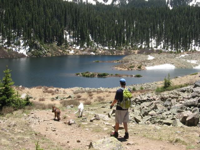 IMG_2329.jpg