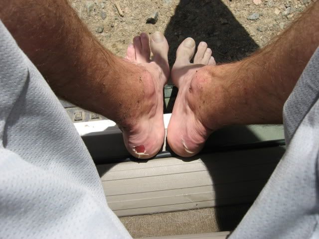 IMG_2401.jpg