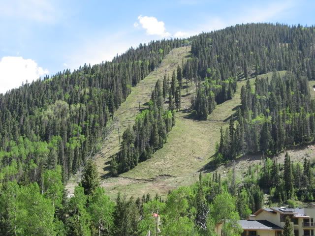 IMG_2408.jpg
