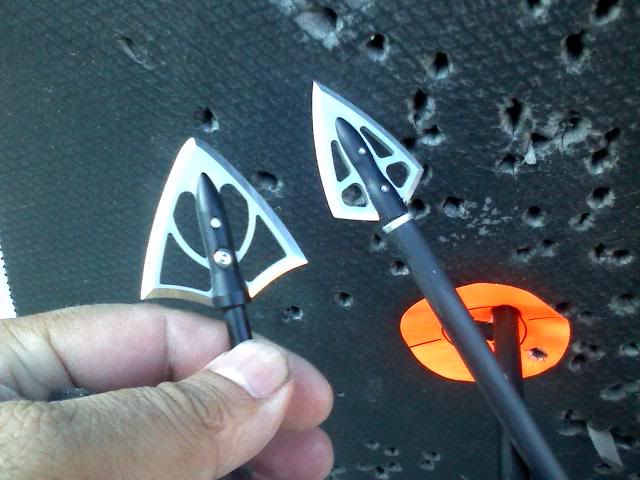 archerytalk.com archerytalk.com