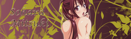 Forum Image: http://i220.photobucket.com/albums/dd259/supersonic44/Sohara.png