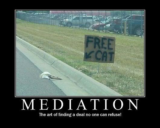 freecat.jpg
