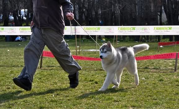 Качена снимка