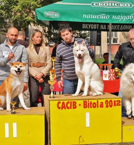 Качена снимка