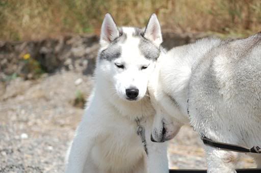 DSC_0424.jpg