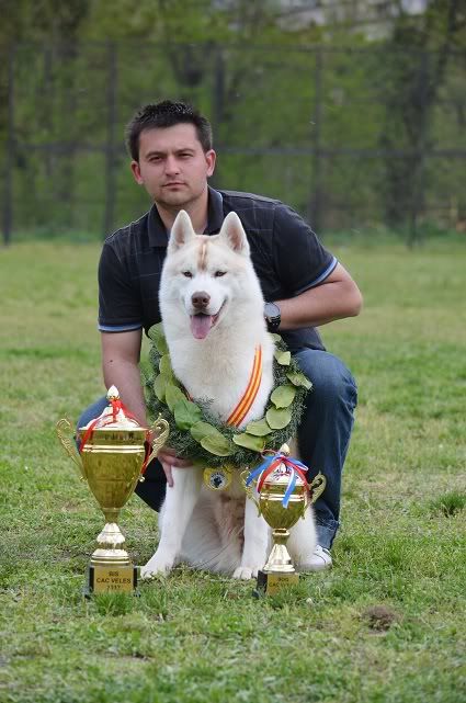 Качена снимка
