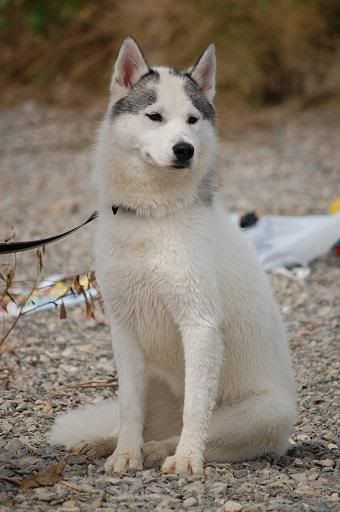DSC_0661.jpg